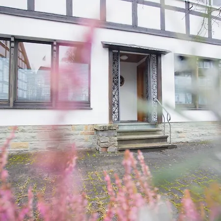 Kornblume - Drostenhof Nordenau シュマレンベルク