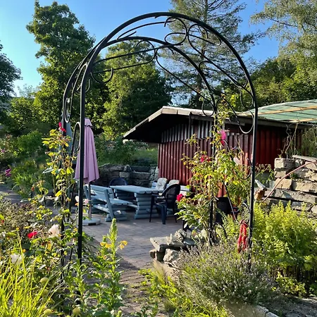 Kornblume - Drostenhof Nordenau