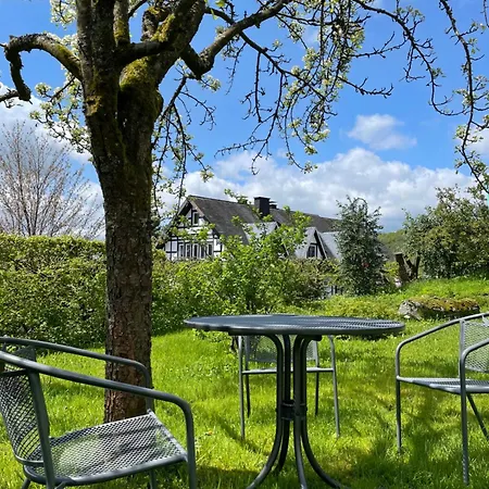 Kornblume - Drostenhof Nordenau *