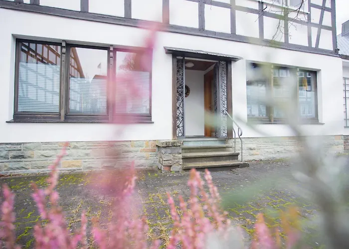 Kornblume - Drostenhof Nordenau Schmallenberg