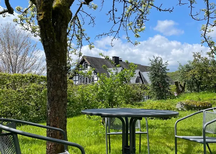 Kornblume - Drostenhof Nordenau *