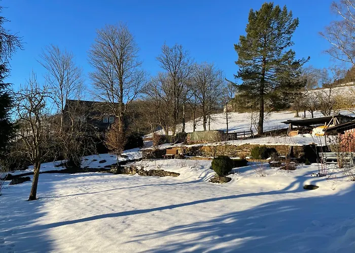 Kornblume - Drostenhof Nordenau Schmallenberg