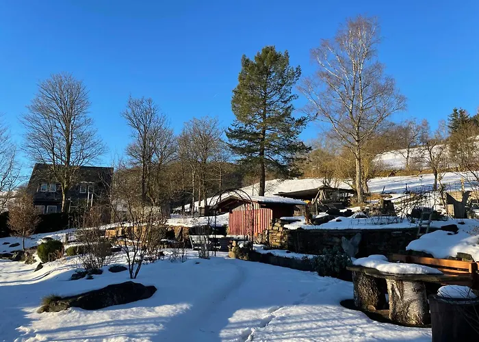 Apartment Kornblume - Drostenhof Nordenau *